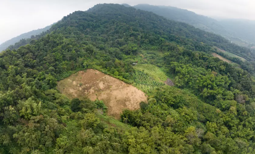 Biodiversity Loss - TheCompletePortal