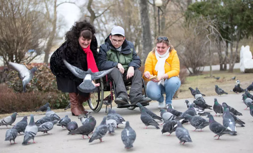 Bird Watching For Disabled Peoples - The Complete Portal