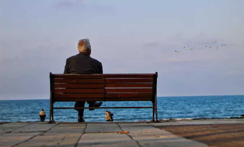 Bird Watching and Nature Observation for Relaxation - The Complete Portal