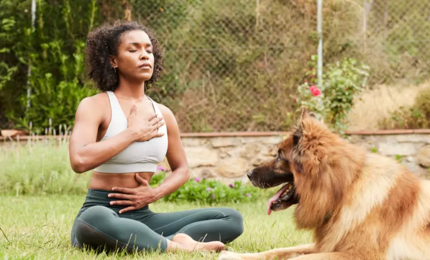 Breathe Easy - The Complete Portal