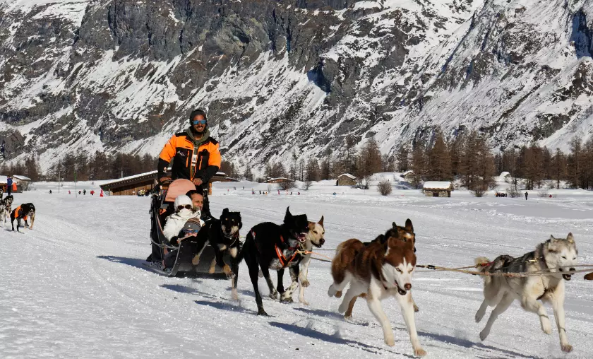 Dog Sledding - The Complete Portal