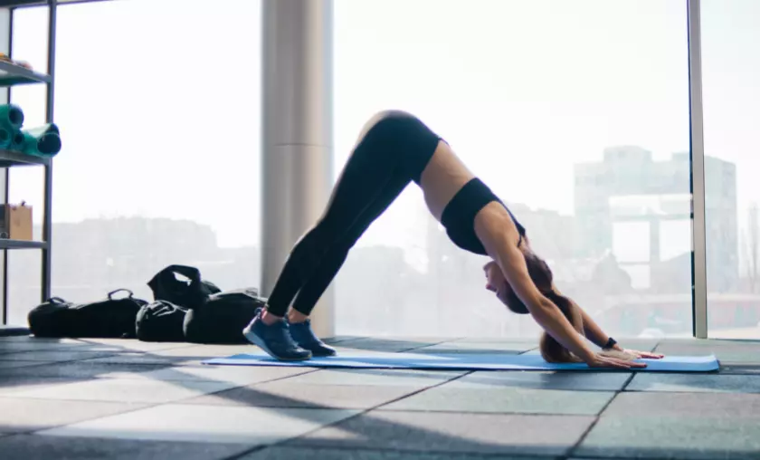 Downward Dog Yoga - The Complete Portal