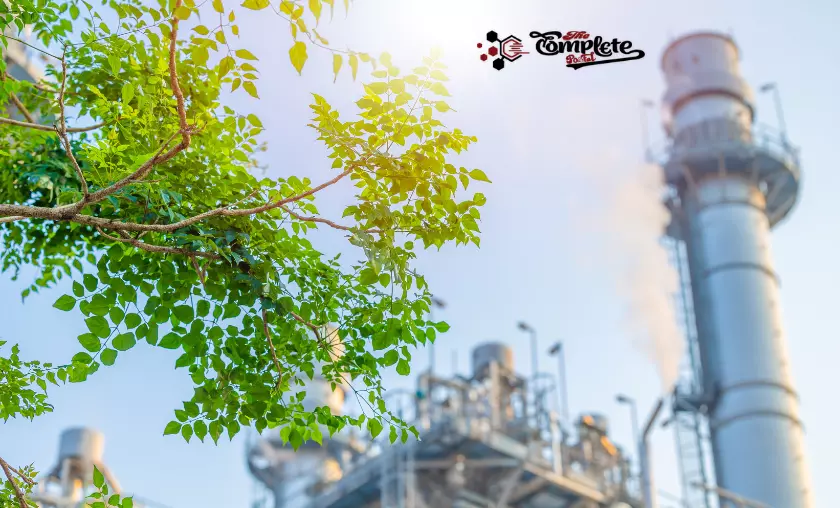 Environmental Impact of Food - Agriculture's Carbon Footprint - TheCompletePortal