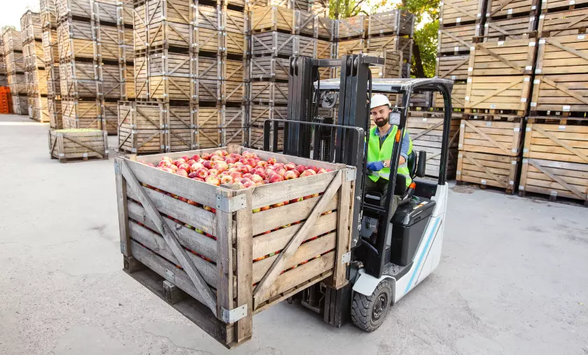 Food Security & Distribution - TheCompletePortal