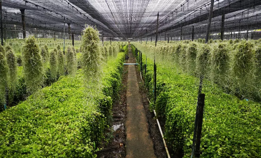 Future of Food Sustainability - TheCompletePortal