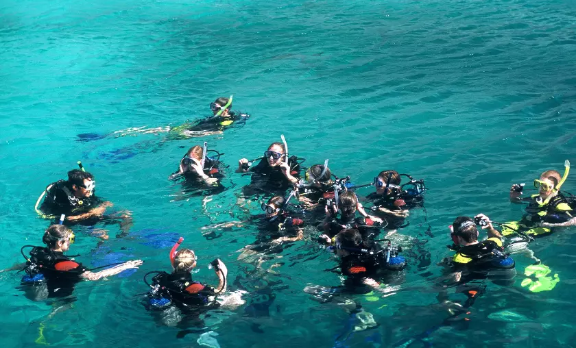 Group Snorkeling - The Complete Portal