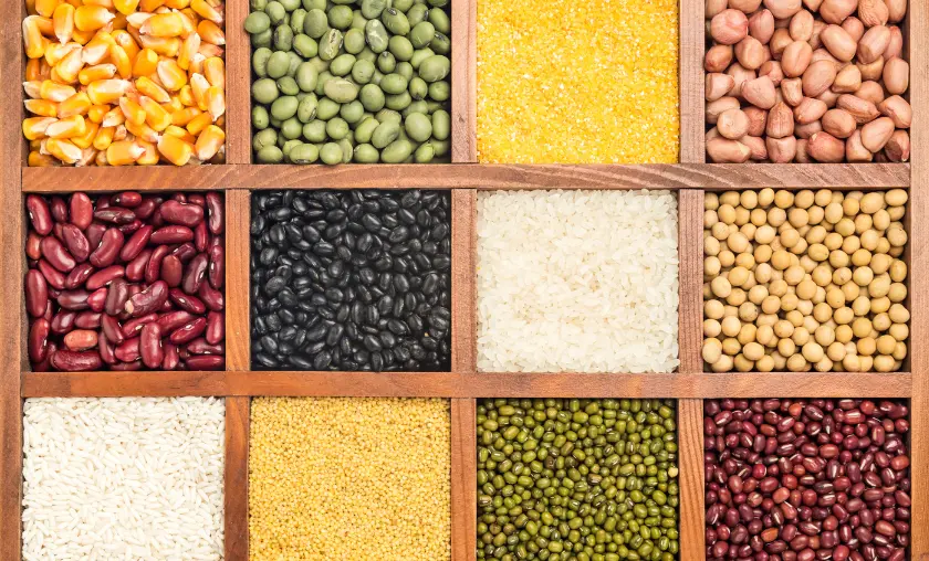 Nutrient-Rich Foods from the Past - TheCompletePortal