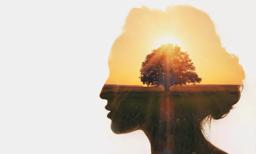 Personal Growth Through Yoga - The Complete Portal