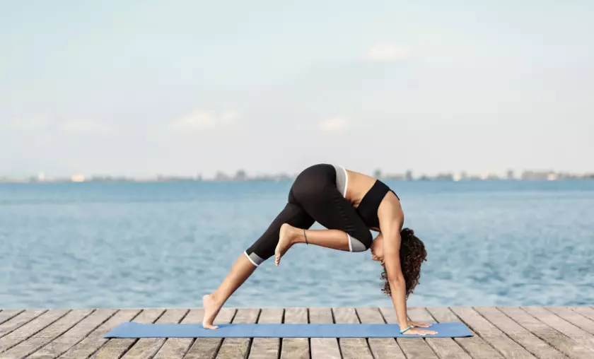 Plank Variations Pose - The Complete Portal