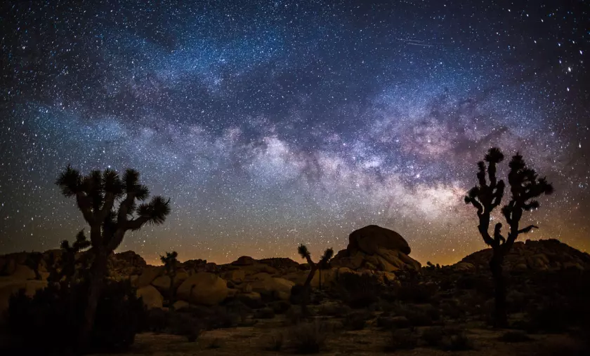Stargazing in Remote Desert Oases - The Complete Portal