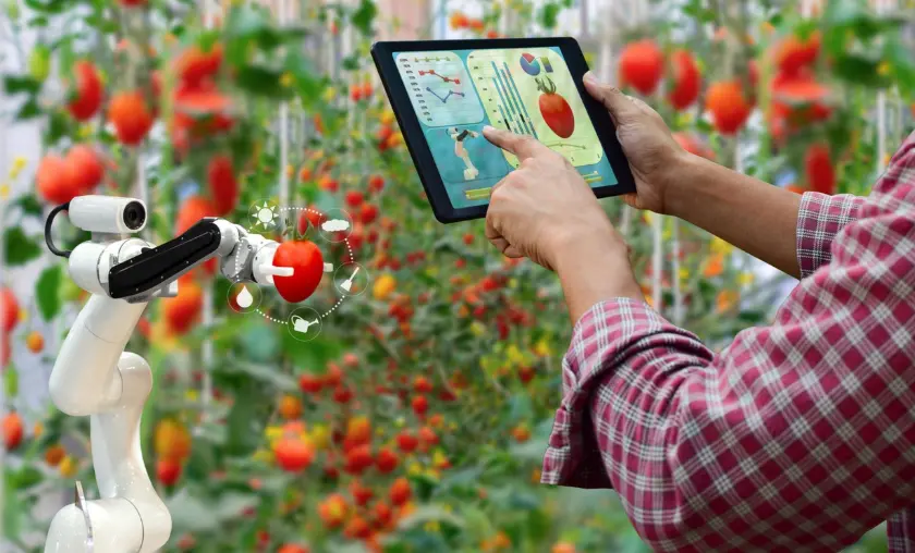 Tech on the Plate - TheCompletePortal