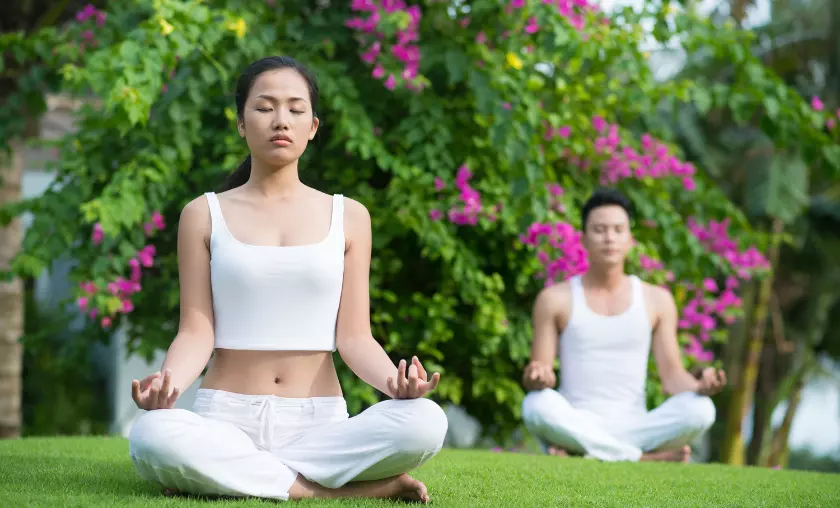 The Meditative Path - The Complete Portal