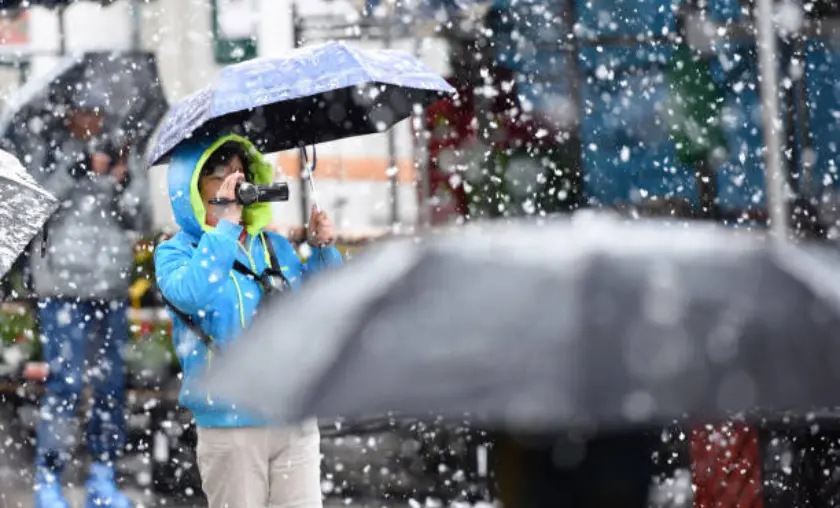 Timing Matters: Weather, Seasons, and Crowds - TheCompletePortal