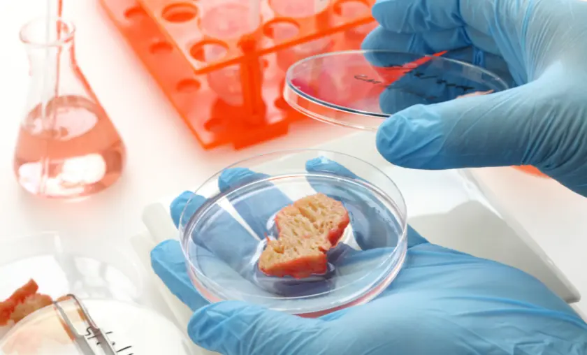 Aspects of Organic Foods with Conventionally Grown Counterparts - TheCompletePortal