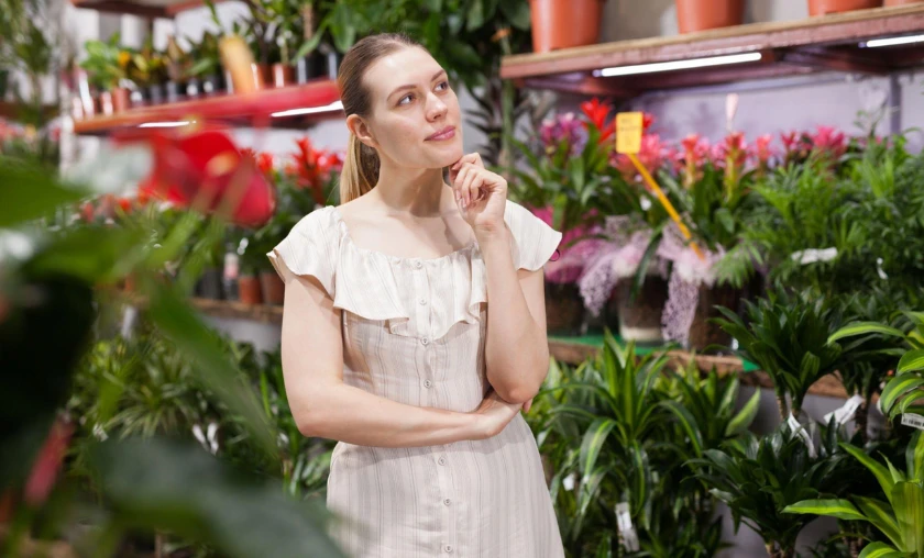 Balancing Quality & Cost Setting a Realistic Budget - thecompleteportal