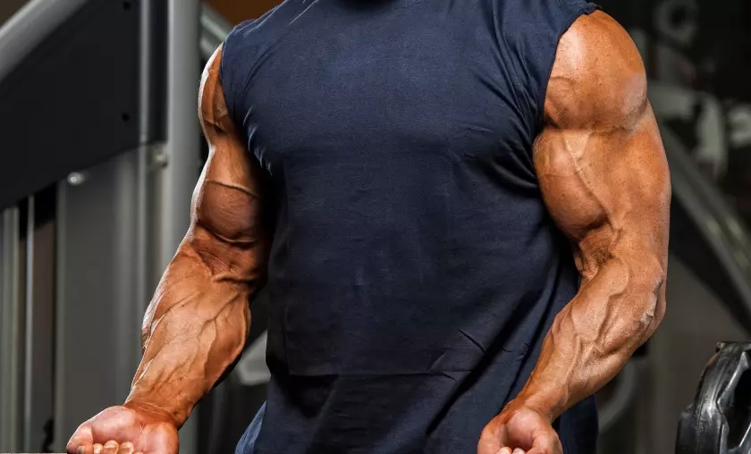 Building Strength and Muscle - The Complete Portal