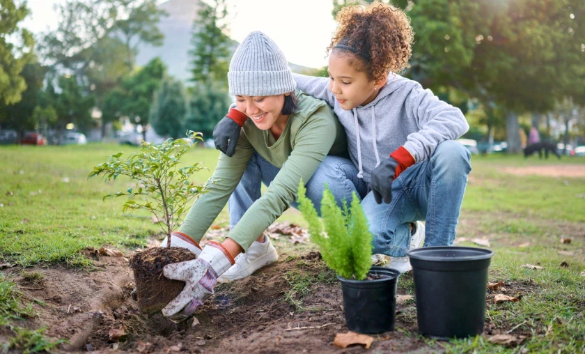 Choosing the Right Plants for Your Garden's Personality - thecompleteportal