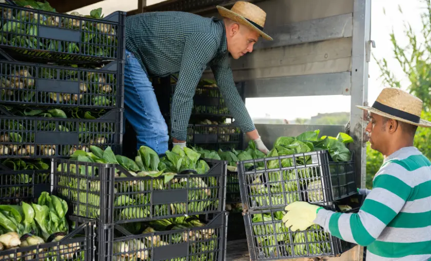 Cost Considerations - TheCompletePortal