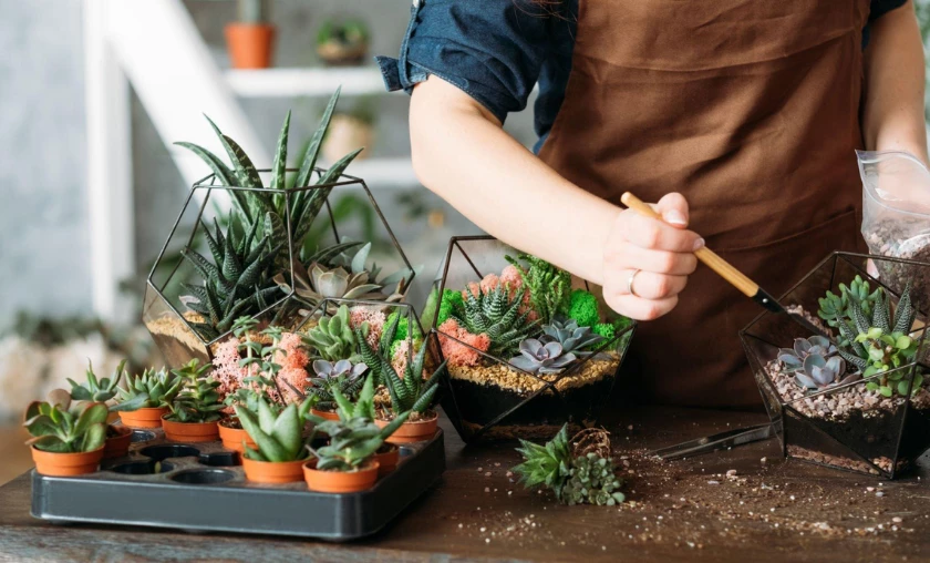 Gardening Tips & Tricks: A Step-by-Step Guide to Perfecting Your Garden! ([wpsm_custom_meta type=date field=month] [wpsm_custom_meta type=date field=year]) - The Complete Portal