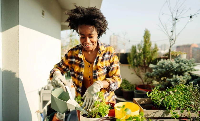 Decoding the Best Time of Day to Water - thecompleteportal