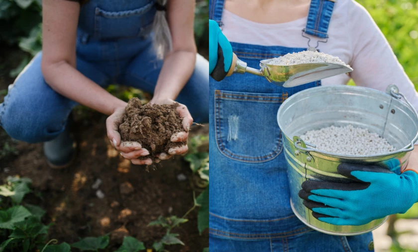 Differentiating Between Organic & Synthetic Fertilizers - thecompleteportal