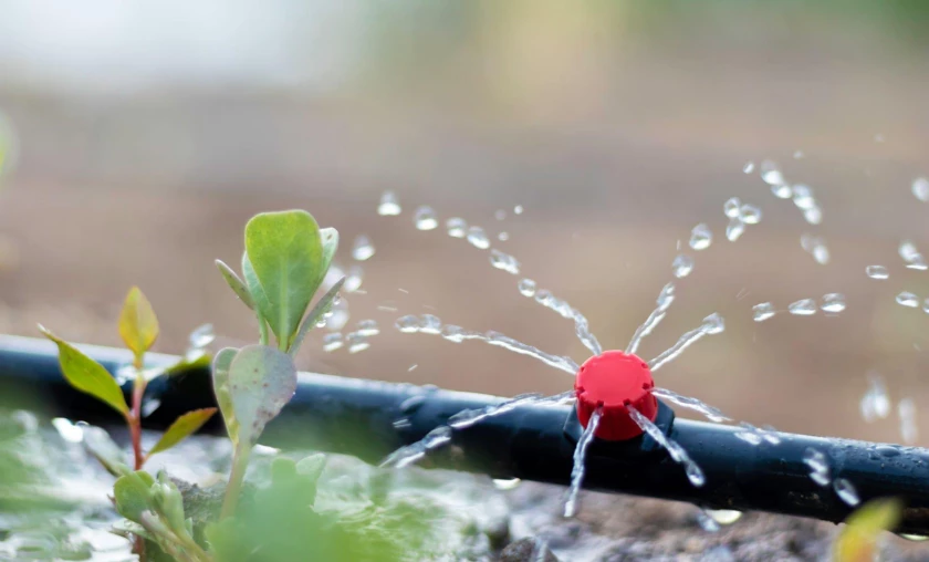 Drip Irrigation Systems Efficient Water Delivery - thecompleteportal