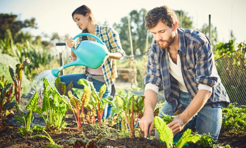 Efficient Watering Techniques - thecompleteportal