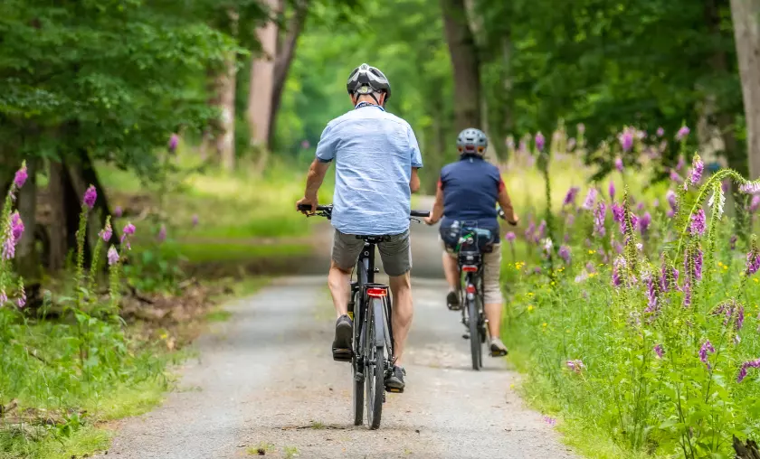 Environmental Benefits - The Complete Portal