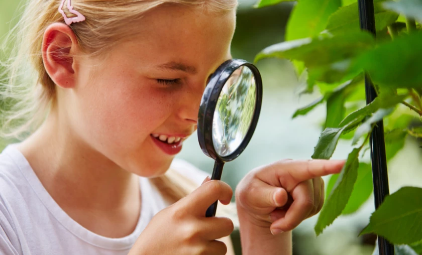 Exploring Essential Nutrients for Plant Growth - thecompleteportal