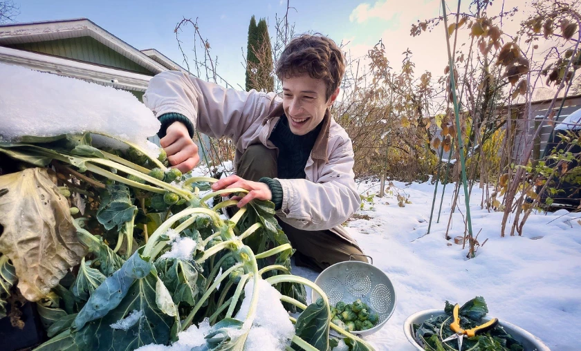 Fall Prep Getting Your Garden Ready for Winter - thecompleteportal