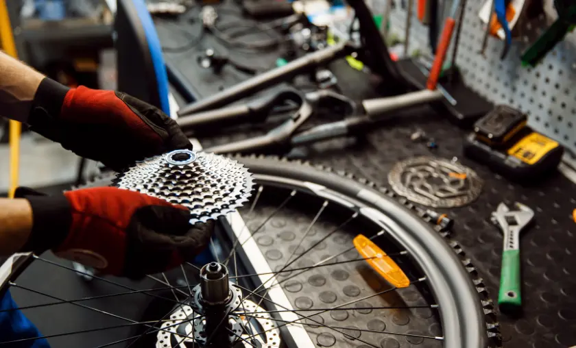 Gear Systems - The Complete Portal