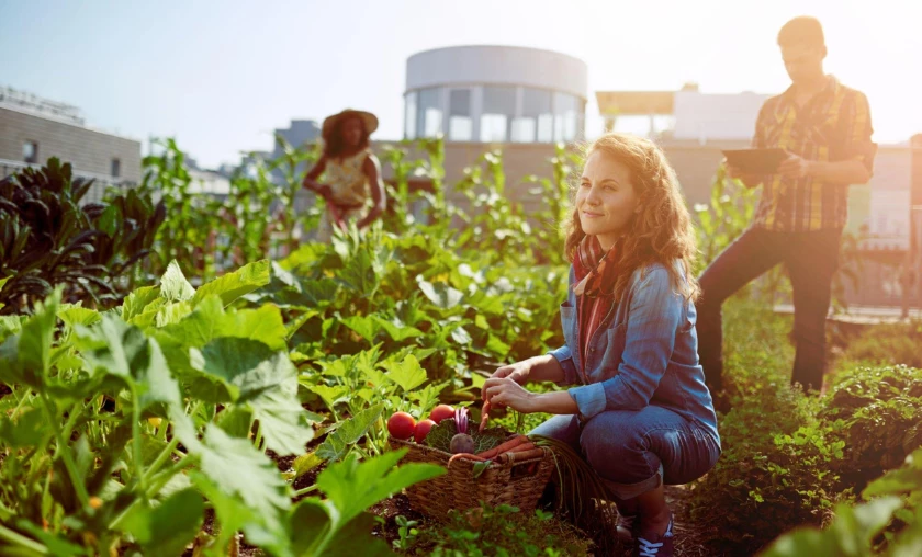 Harvesting & Enjoying Your Garden's Bounty - thecompleteportal