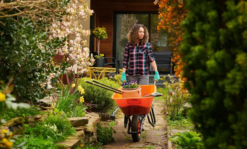 How to Choose the Right Tools and Equipment: Identifying Your Project Requirements for Accurate Tool Selection - thecompleteportal