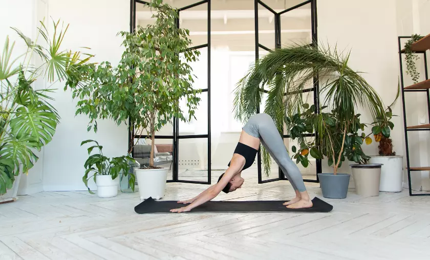 Improved Posture Yoga - The Complete Portal