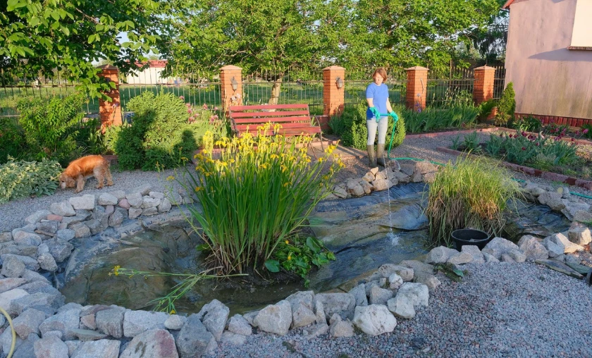 Inviting Nature Creating a Garden Oasis for Wildlife - thecompleteportal