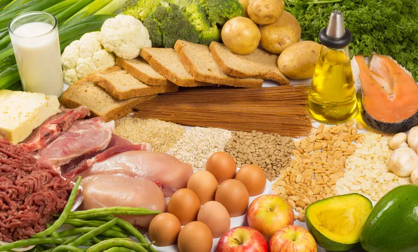 Macronutrients - TheCompletePortal