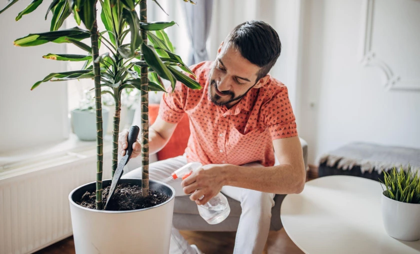 Mastering Drainage & Moisture Retention - thecompleteportal