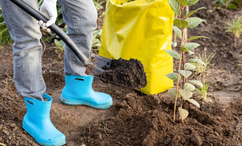 Organic Fertilization Methods - thecompleteportal