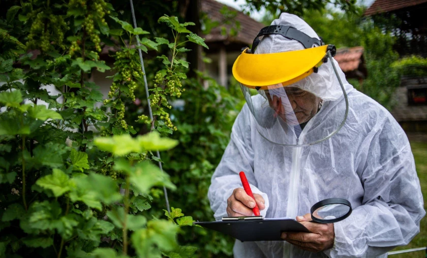 Pest & Disease Management - thecompleteportal