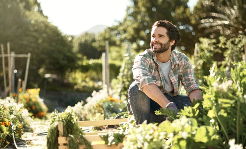 Seasonal Considerations - thecompleteportal