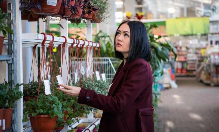 Smart Spending Investing in Tools & Equipment That Pay Off - thecompleteportal