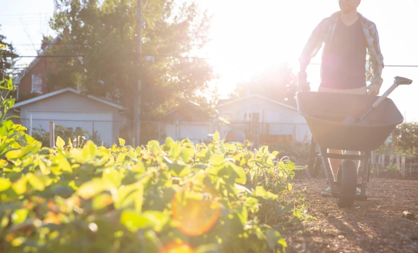 Spring Awakening Essential Tasks for a Strong Start - thecompleteportal