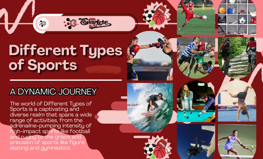 The Different Types of Sports: A Dynamic Journey - TheCompletePortal