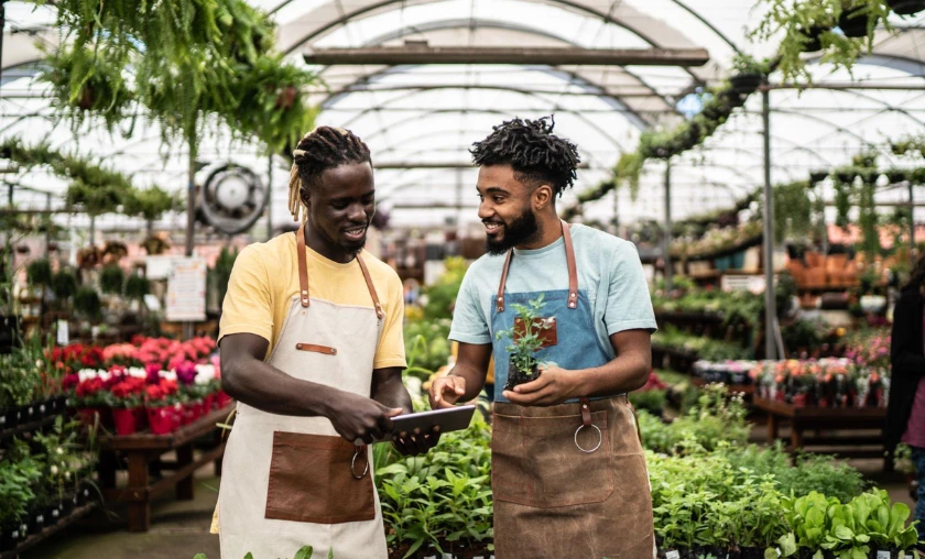 Tips for Preventing Root Rot in Potted Plants - thecompleteportal