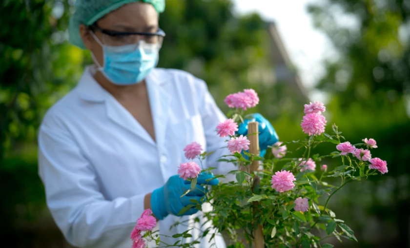 Unveiling the Signs of Under & Overwatering - thecompleteportal