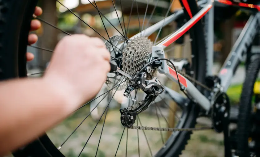 Upgrades and Gear Selection - The Complete Portal 