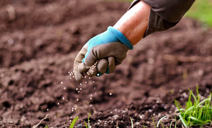 Using Slow-Release Fertilizers for Sustained Nutrition - thecompleteportal