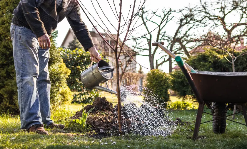 Water-Wise Gardening - thecompleteportal