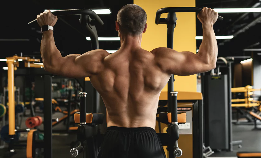 Bodyweight Workout - The Complete Portal