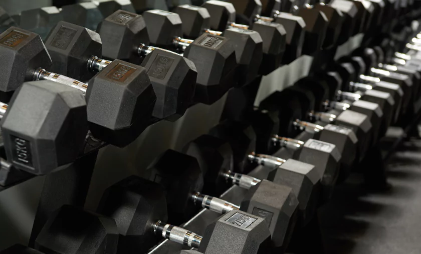 Dumbbells - The Complete Portal